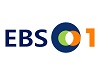 ebs 1 logo